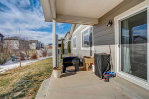 River Birch St-044