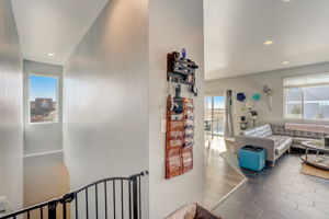 River Birch St-021