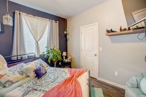 River Birch St-023
