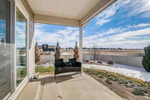 River Birch St-043