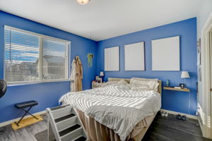 River Birch St-032
