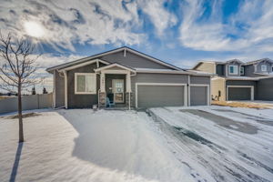 River Birch St-005