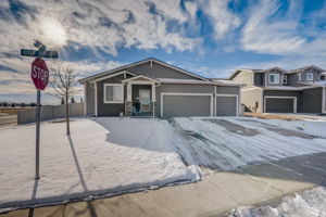 River Birch St-004