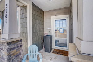 River Birch St-007