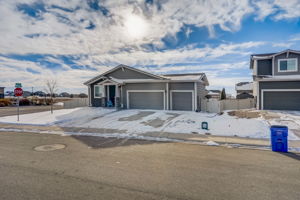 River Birch St-001