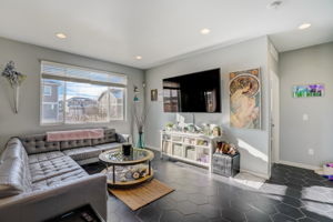 River Birch St-009