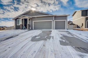 River Birch St-006