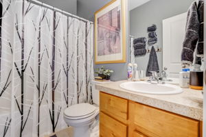 River Birch St-026