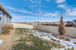 River Birch St-046