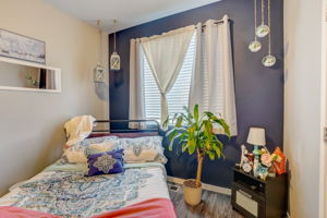 River Birch St-024