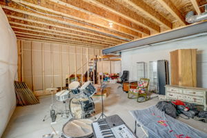 River Birch St-042