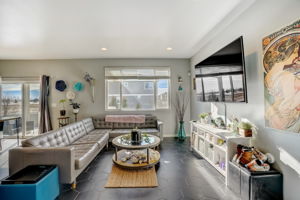 River Birch St-008