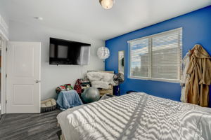 River Birch St-035