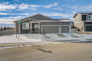 River Birch St-003