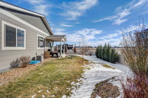 River Birch St-048