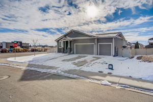 River Birch St-002