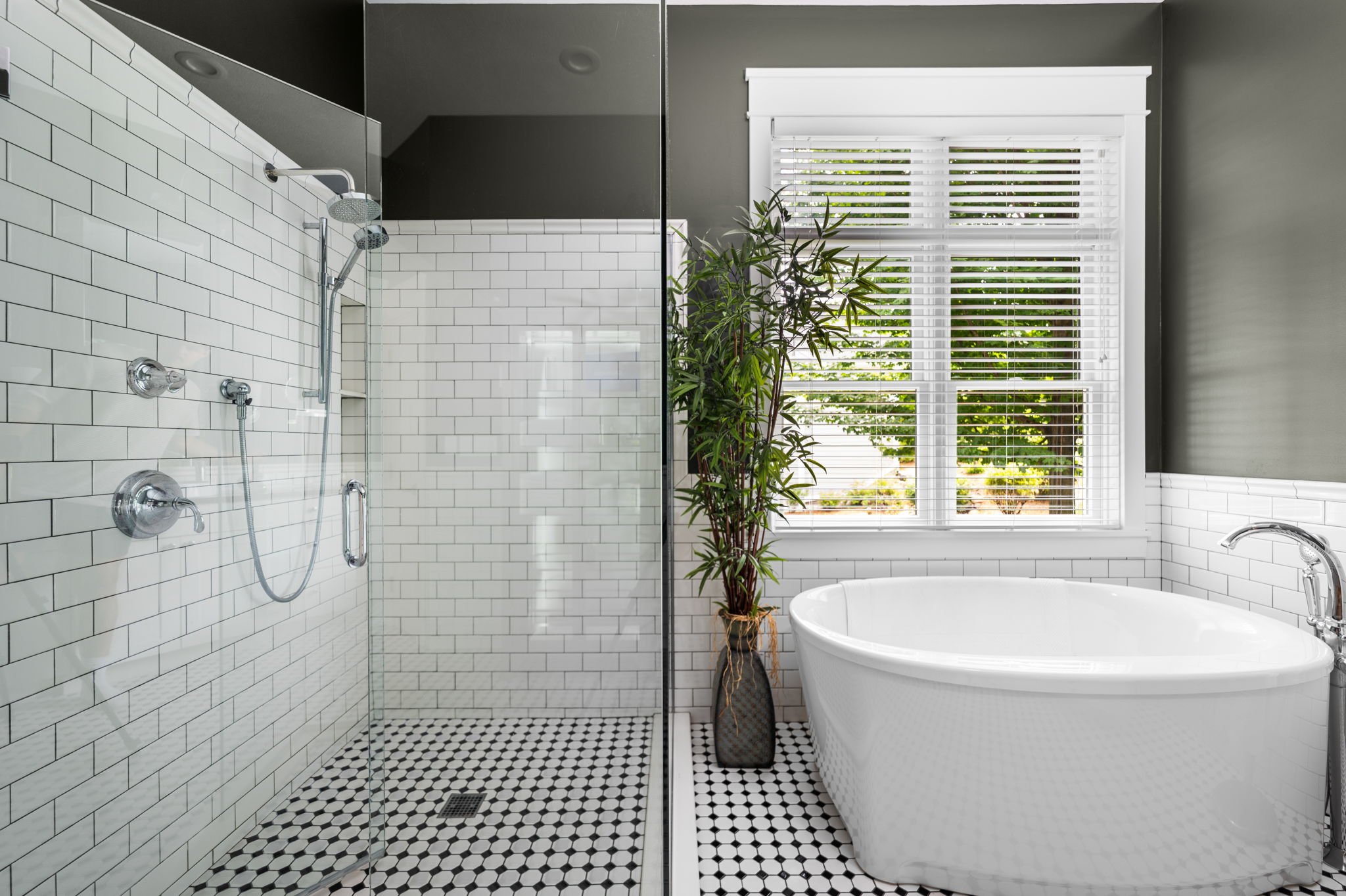 Primary Bath Shower and Soaking Tub