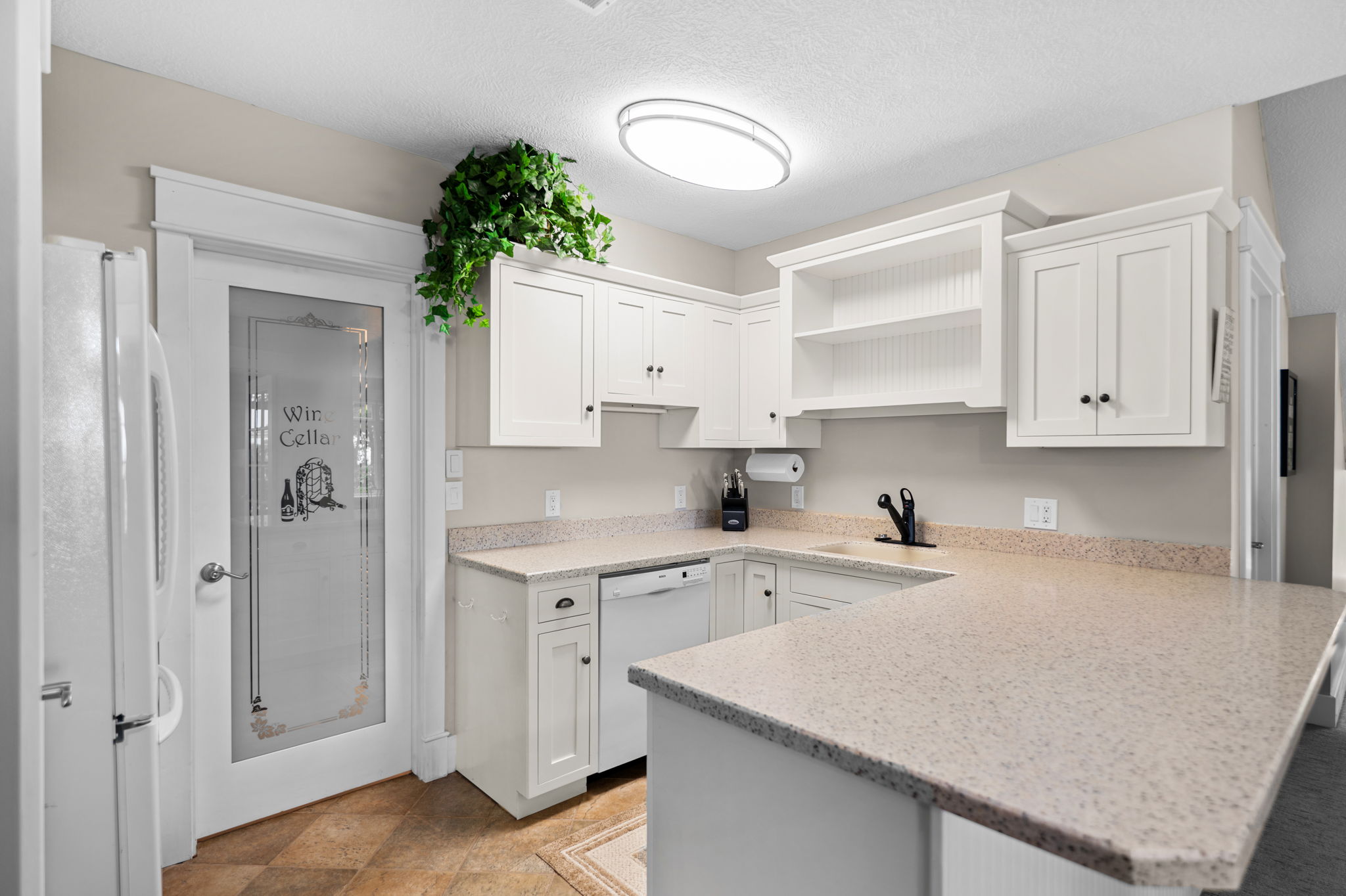 Lower Level Kitchen