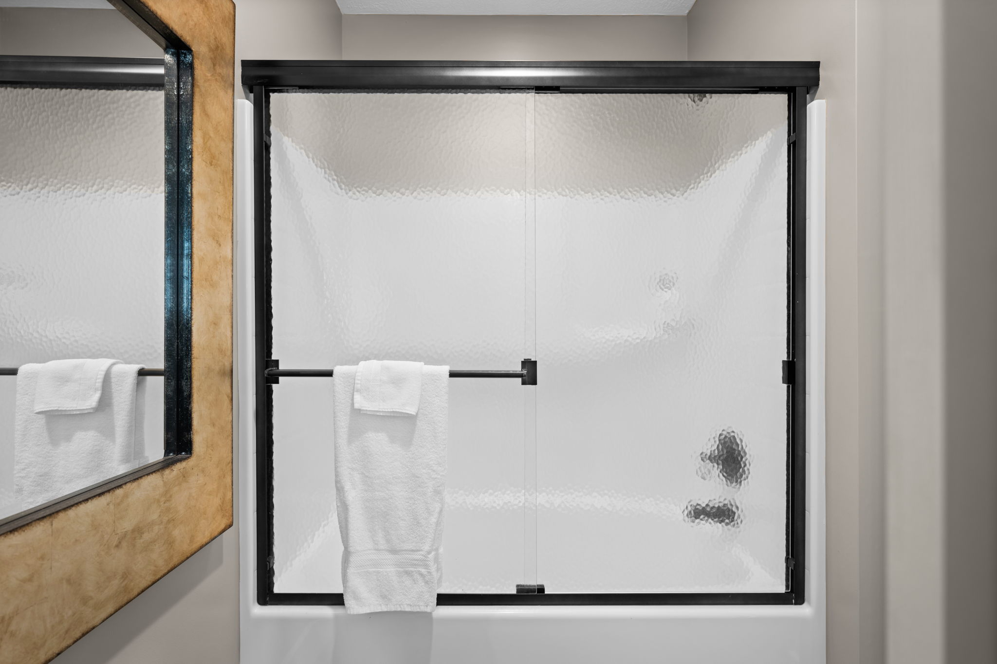 Lower Level Guest Bath