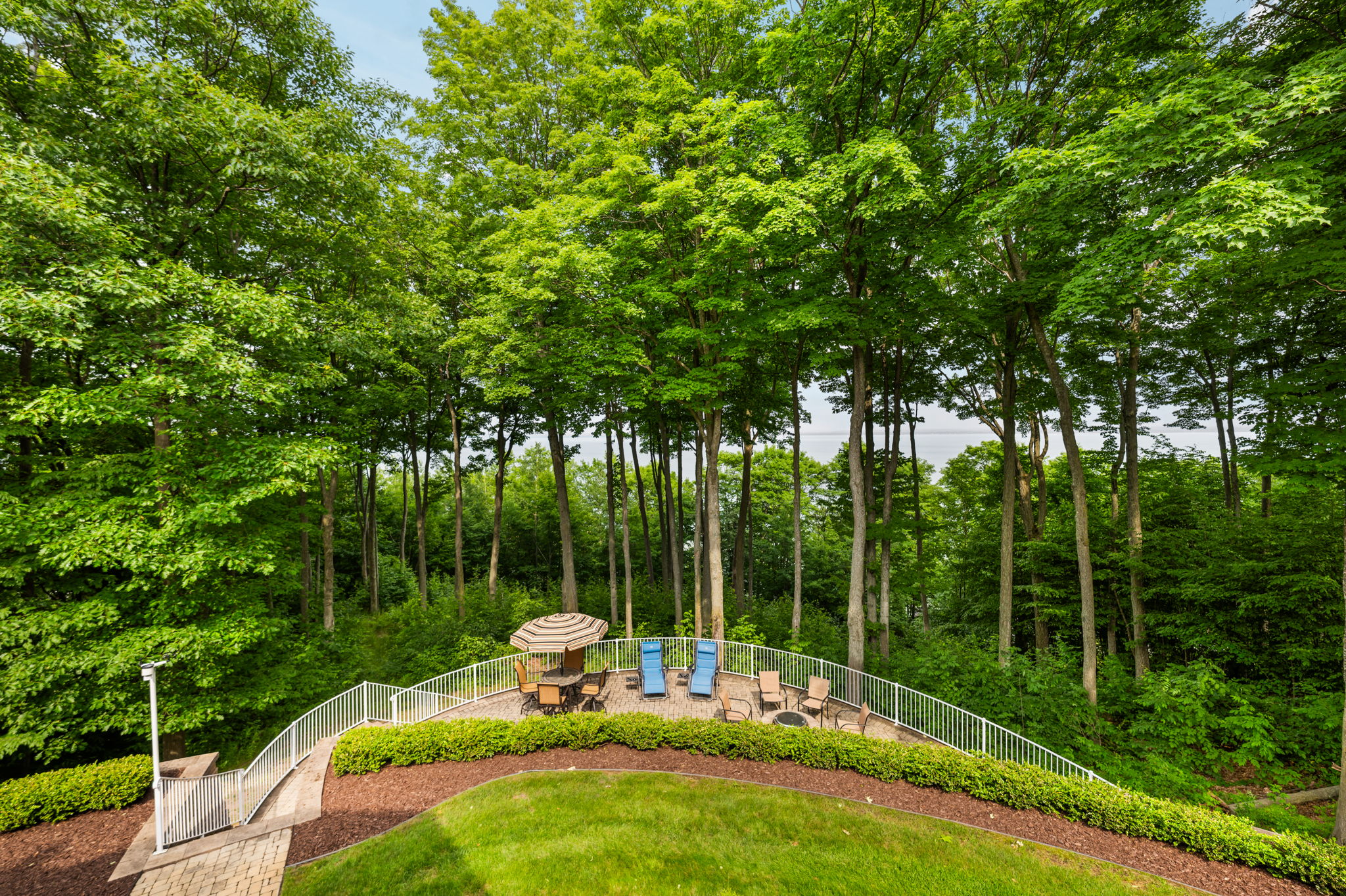 View of Backyard