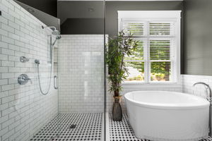 Primary Bath Shower and Soaking Tub