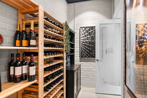 Lower Level Wine Cellar