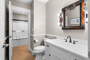 Lower Level Guest Bath