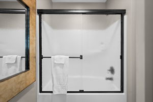 Lower Level Guest Bath