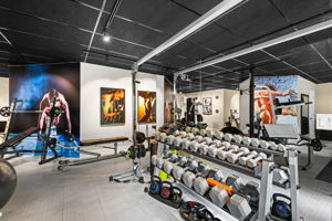 Lower Level Gym