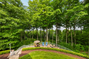 View of Backyard