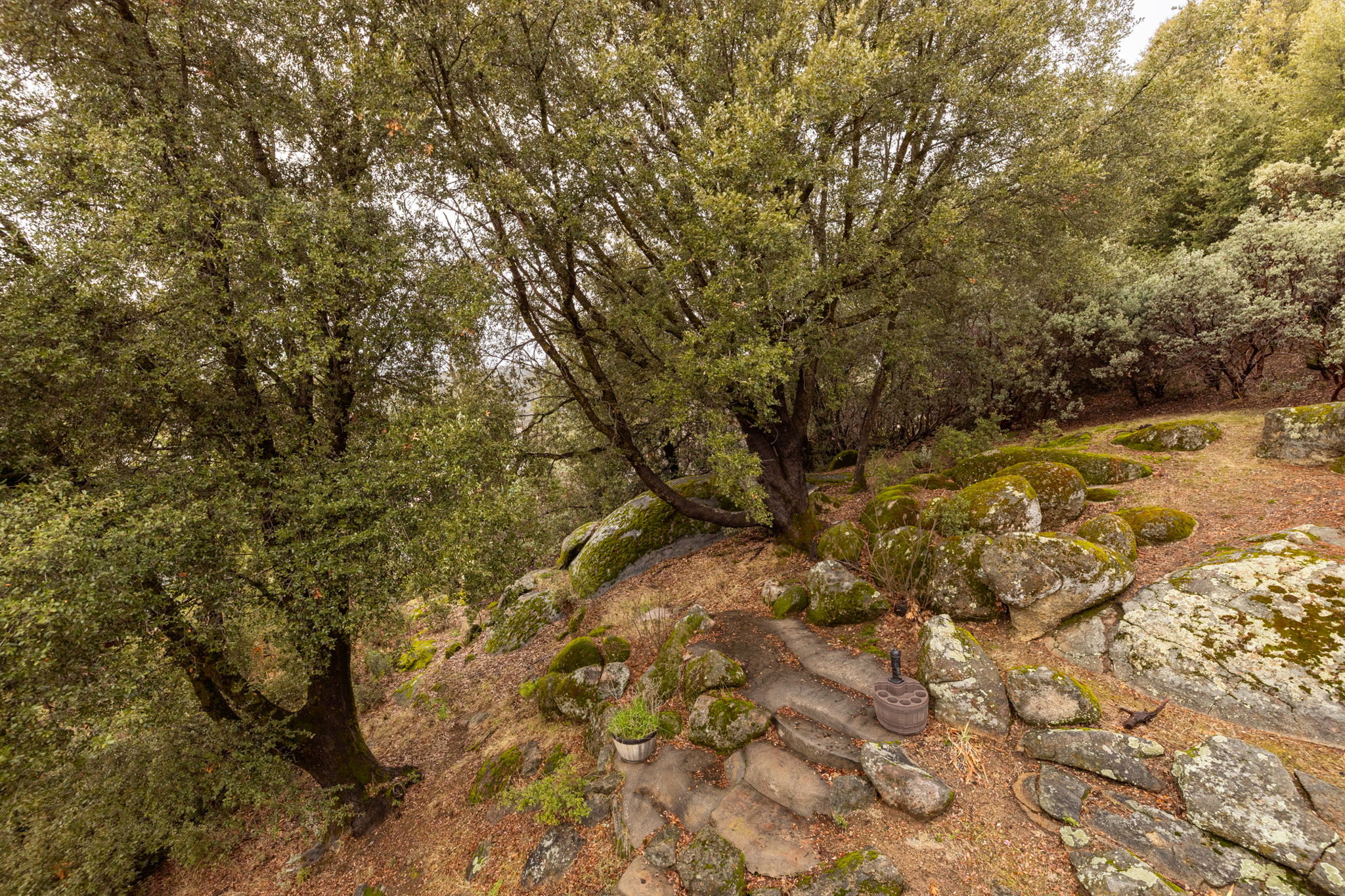 Upstairs Bedroom 1 Balcony View