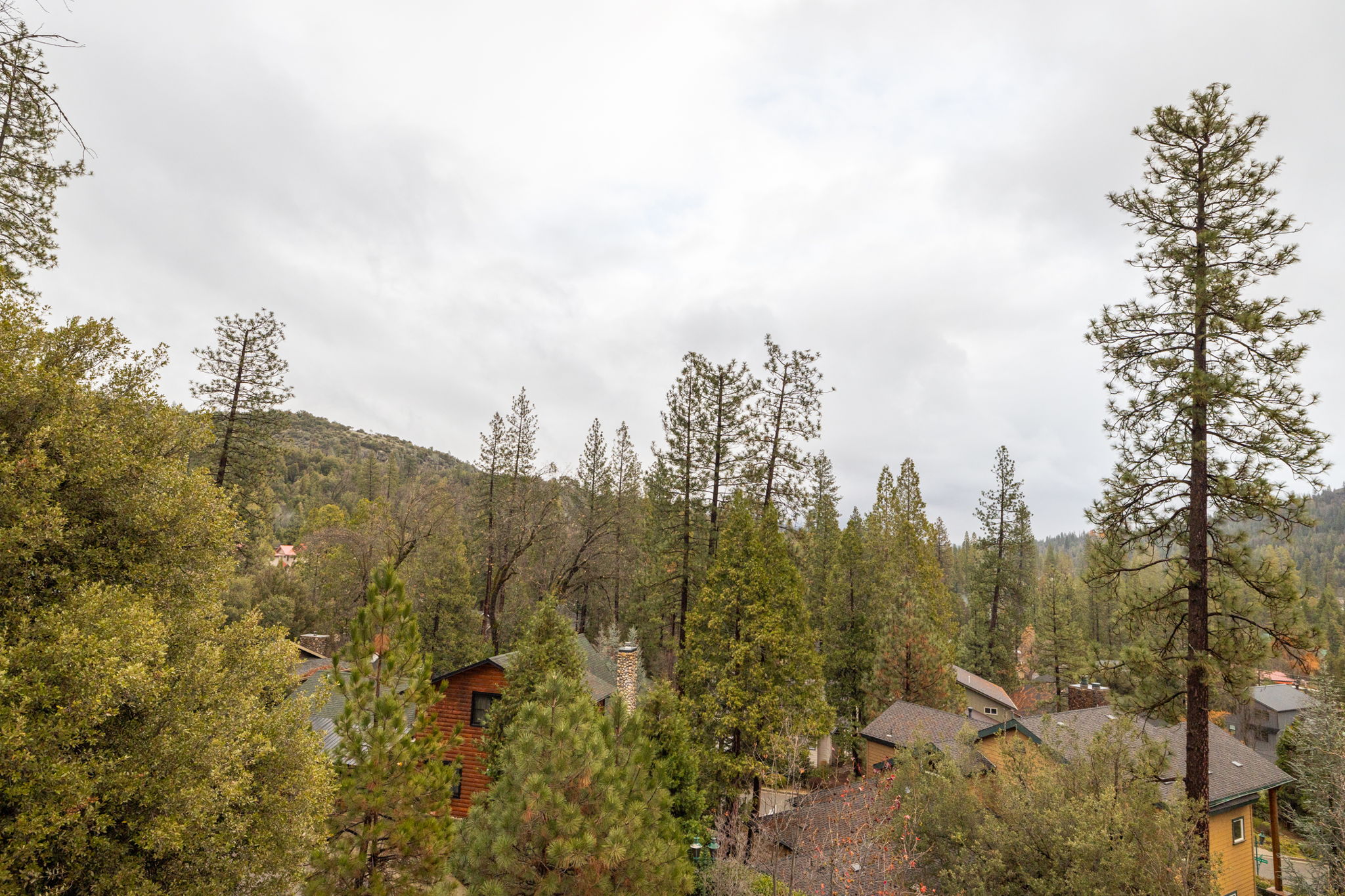 Upstairs Primary Balcony View