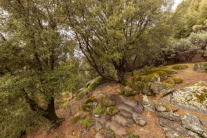 Upstairs Bedroom 1 Balcony View
