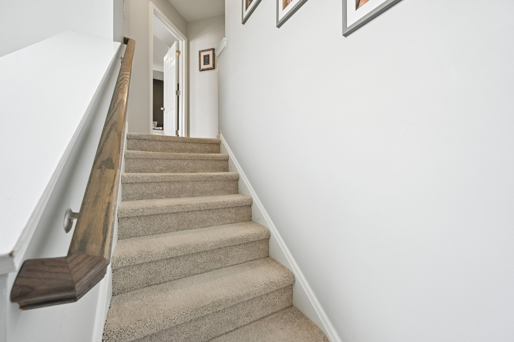 Mink Rd-S1103-021.jpg