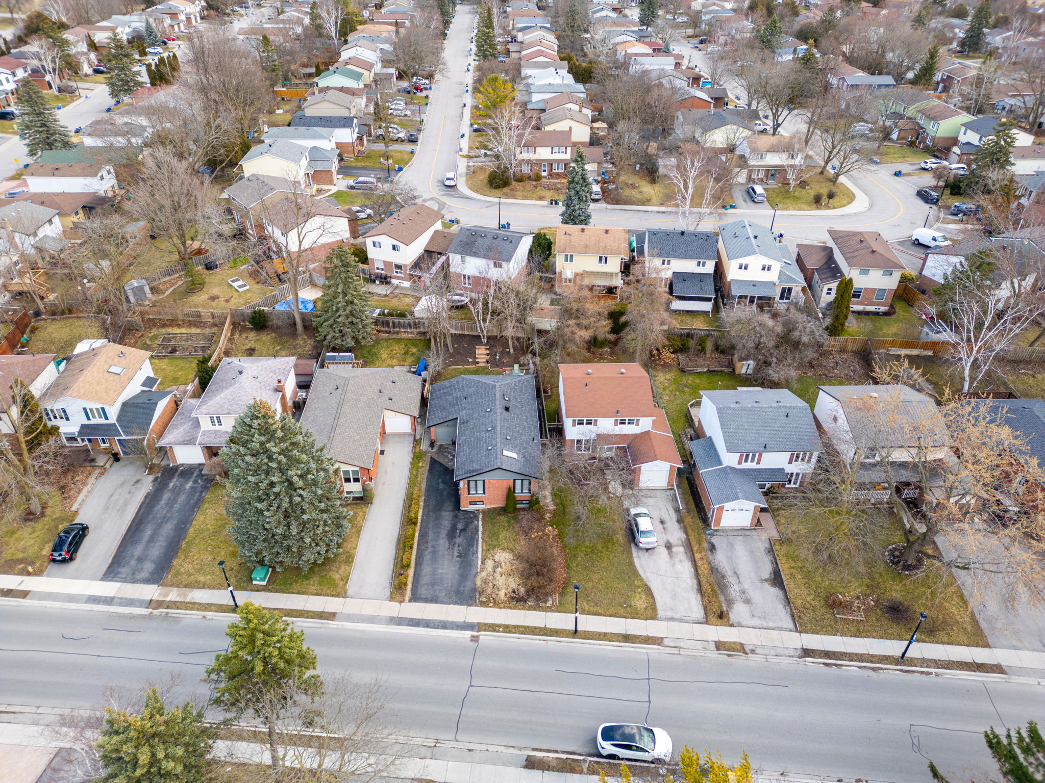 Newmarket property showcase — delivered property photograph 6