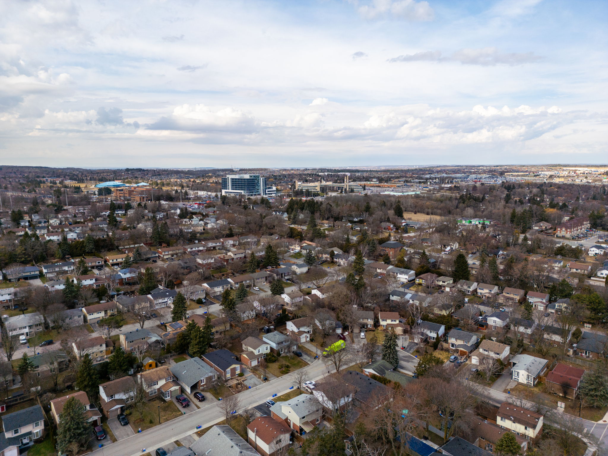 Newmarket property showcase — delivered property photograph 51