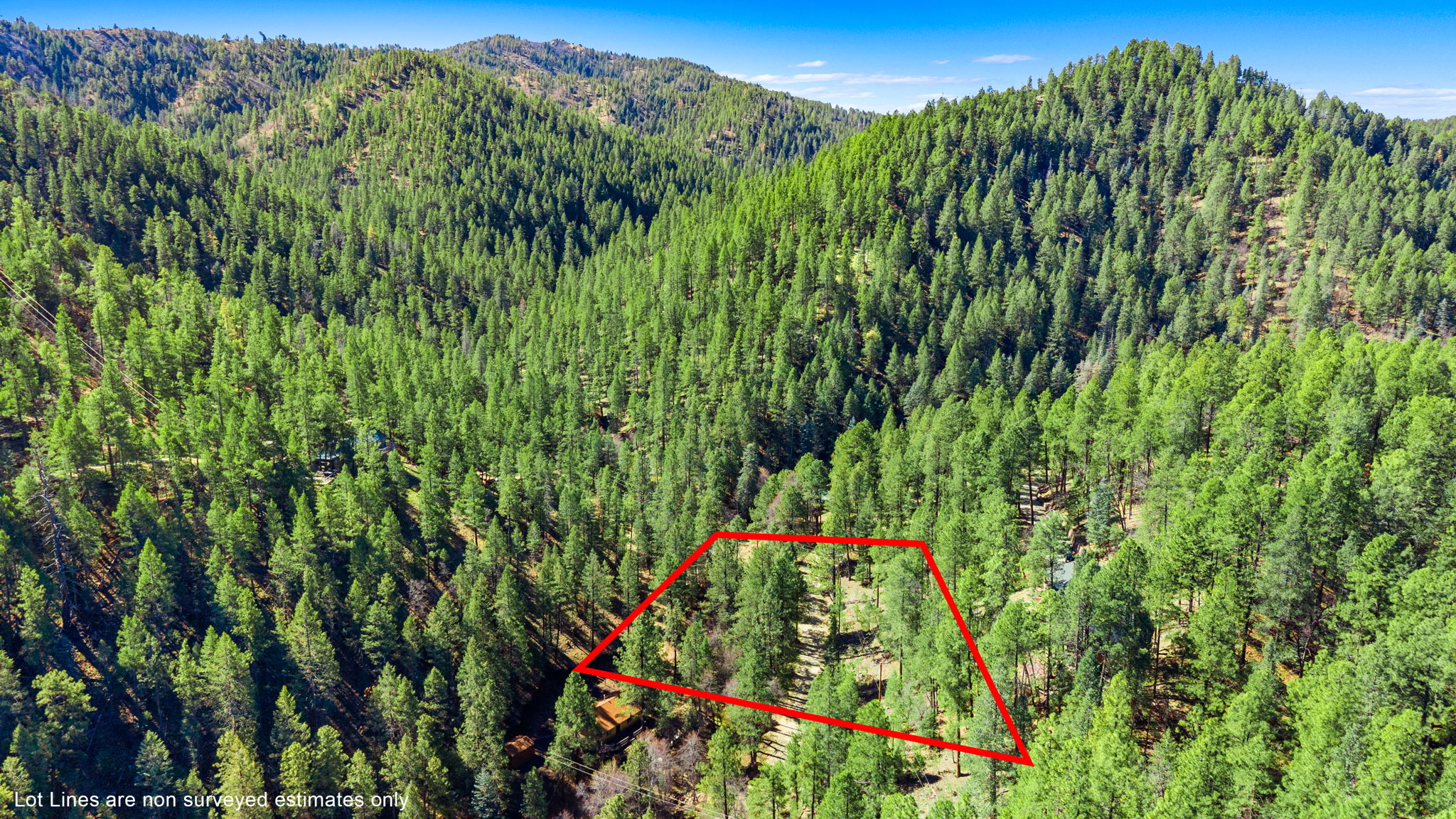 Aerial (3) Lot Lines