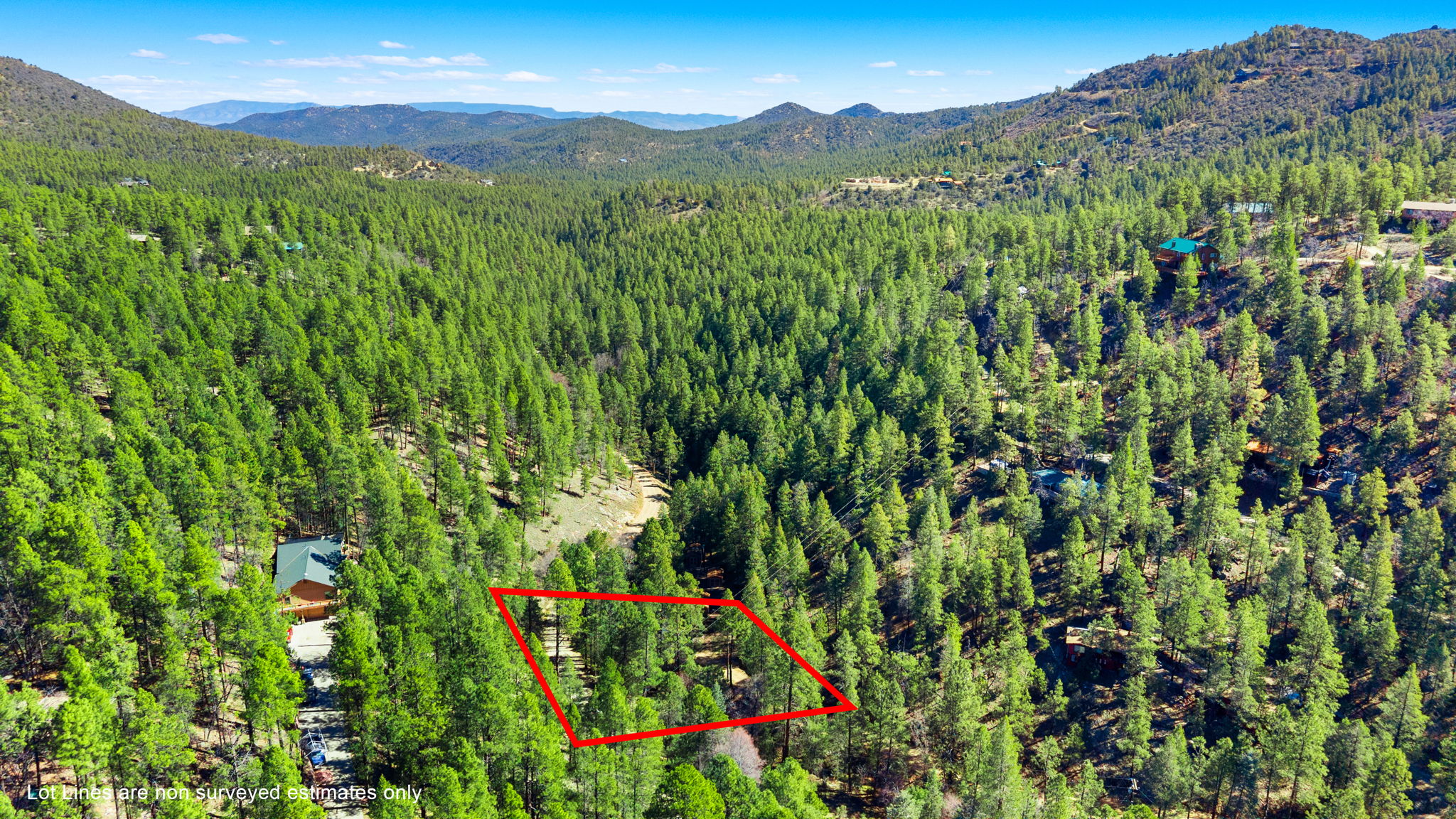 Aerial (1) Lot Lines