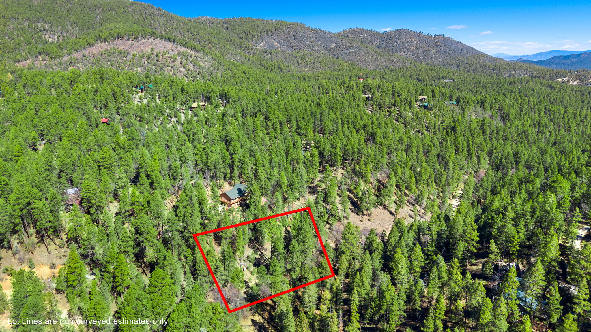 Aerial (2) Lot Lines