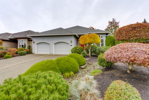 Front Yard - Landscaped