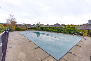 Terrace House Pool