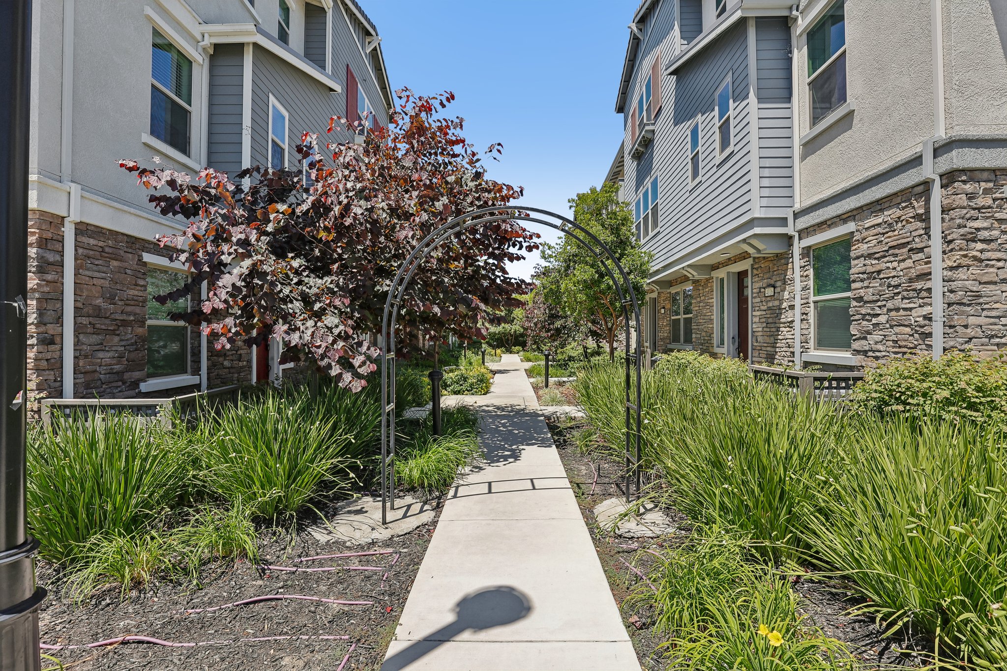 Scottfield St-S0506-036.jpg