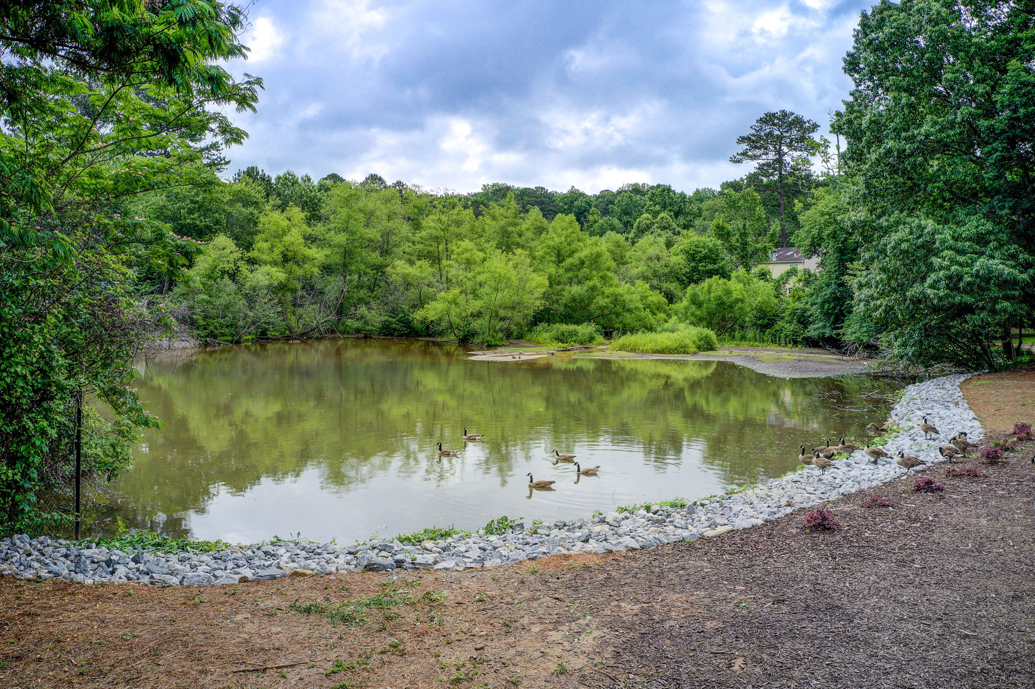 39 Aerial Community Pond B
