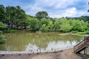 35 Aerial Community Pond A