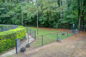 37 Aerial Pet Exercise Area