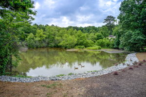 39 Aerial Community Pond B
