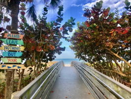 IRB - Board Walk 2