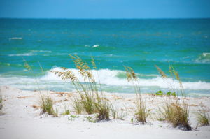IRB - Beach 4