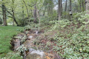 Bramblewood Rd-034