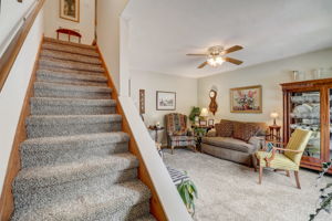 Bramblewood Rd-007